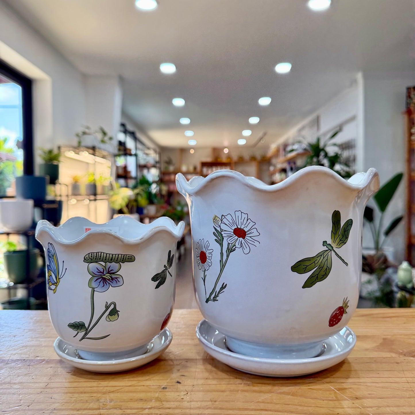 Papillon Planter