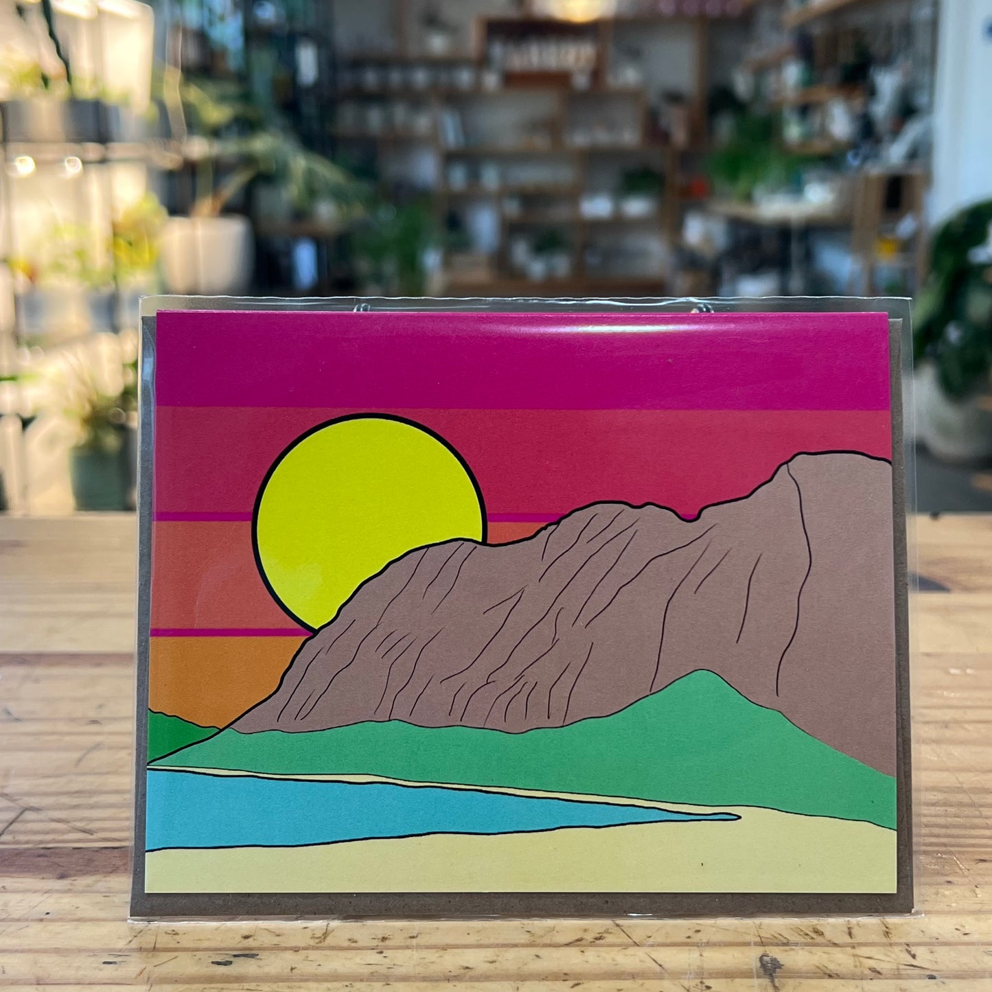Paradise Visions Cards