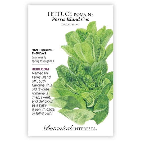 Lettuce seeds 'Romaine Paris Island'