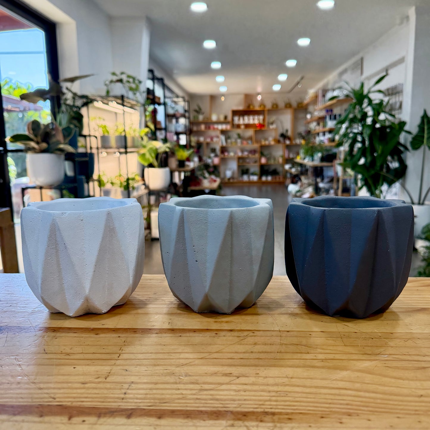 Pavo Cement Planter