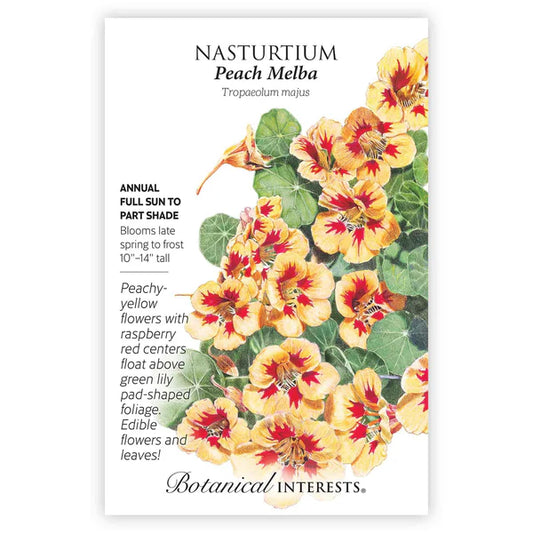 Nasturtium seeds, "Peach Melba"