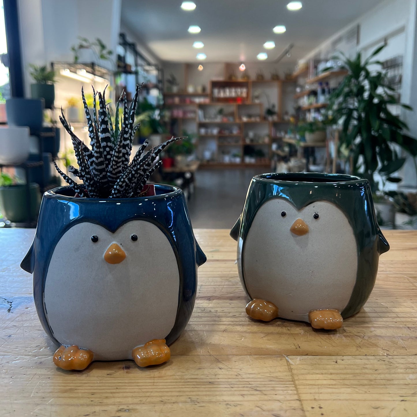 6" Penguin Planter