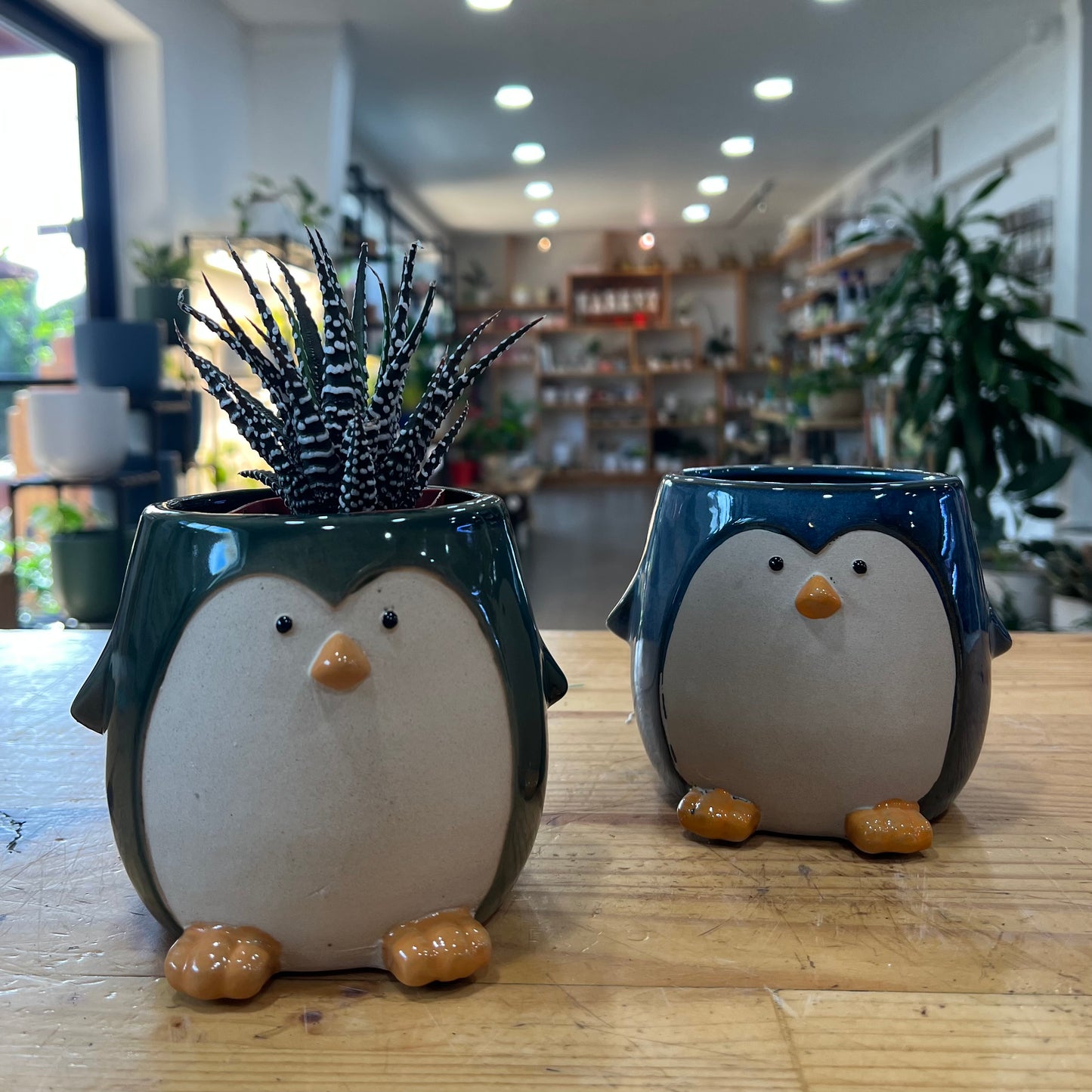 6" Penguin Planter