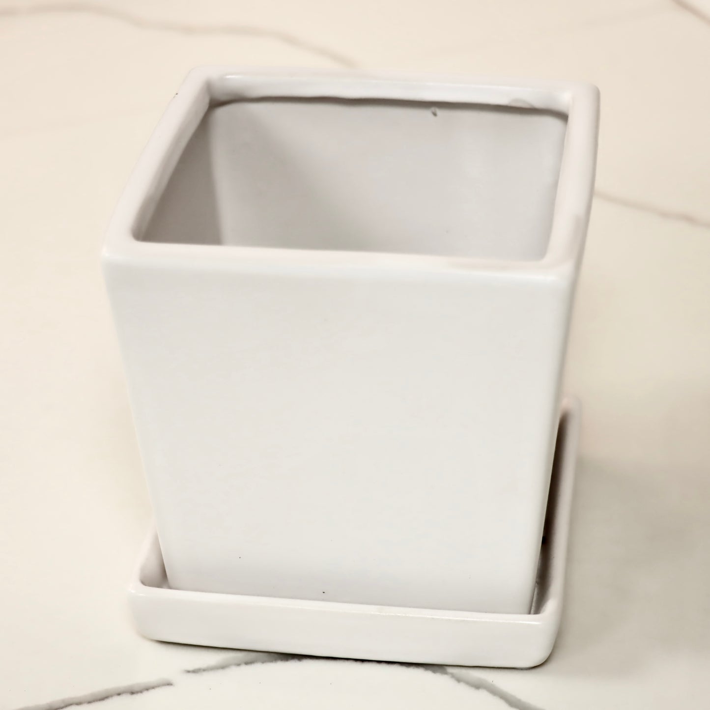 Petal Planter