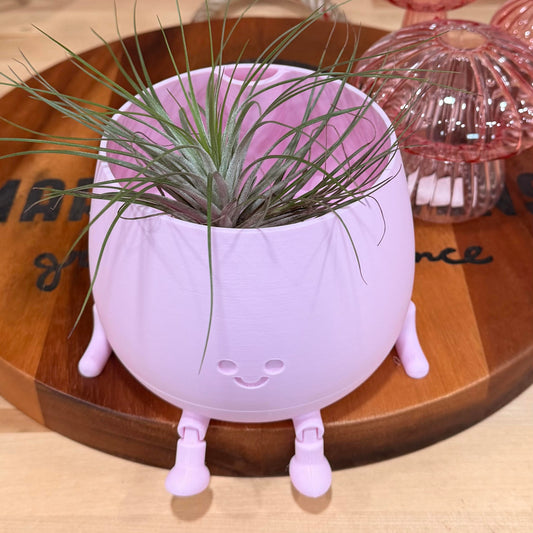 Self-Watering Plastic Planter with Wick