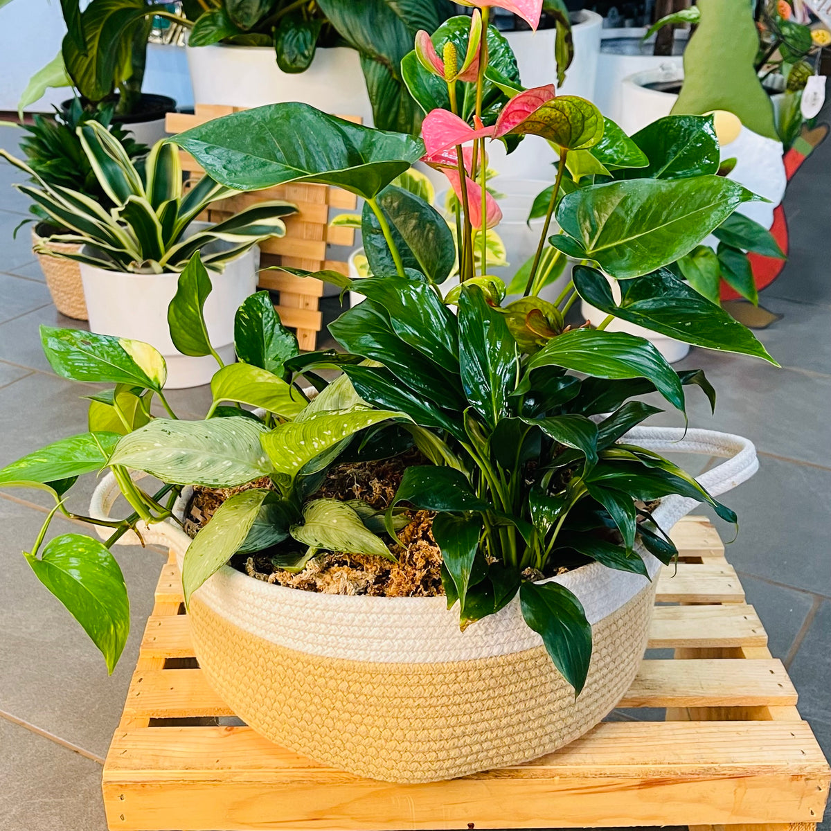 Cotton Baskets