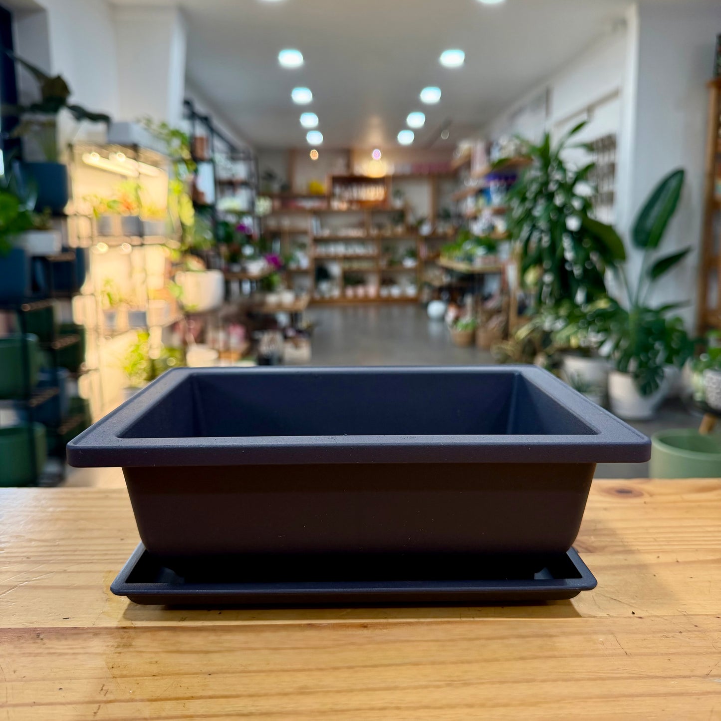 Bonsai Planter Pots
