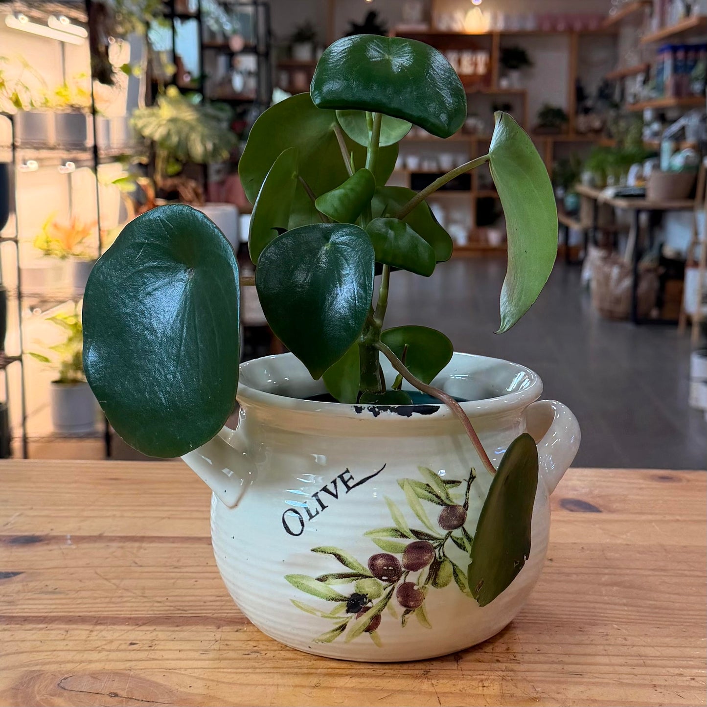 7" Postale Olive Crock