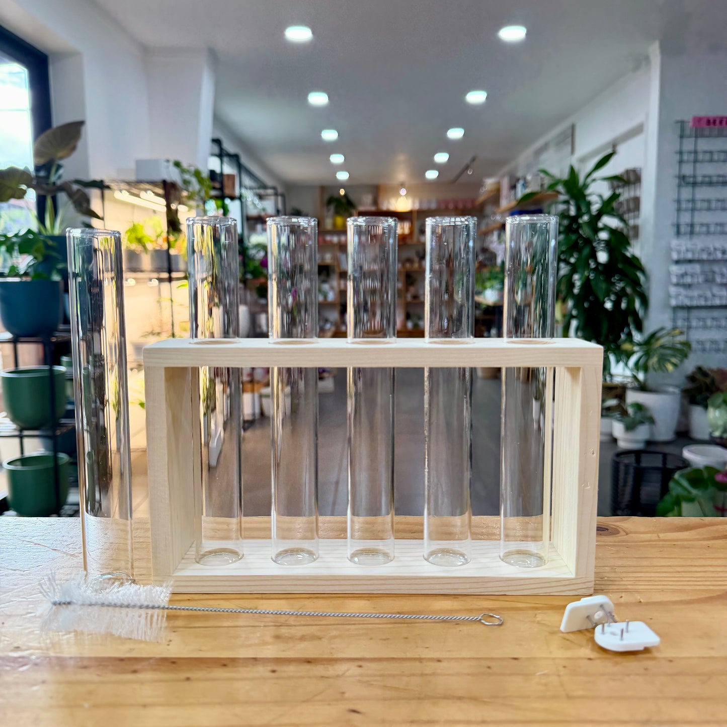 Propagation - Stand with Wooden Frame