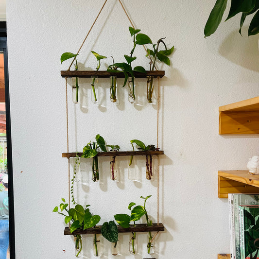 Wooden Hanging Propagation Station, tiered