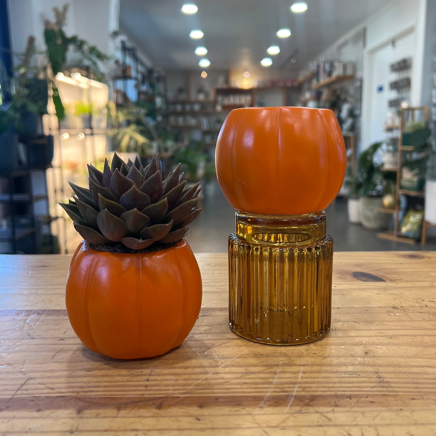 Halloween Planters