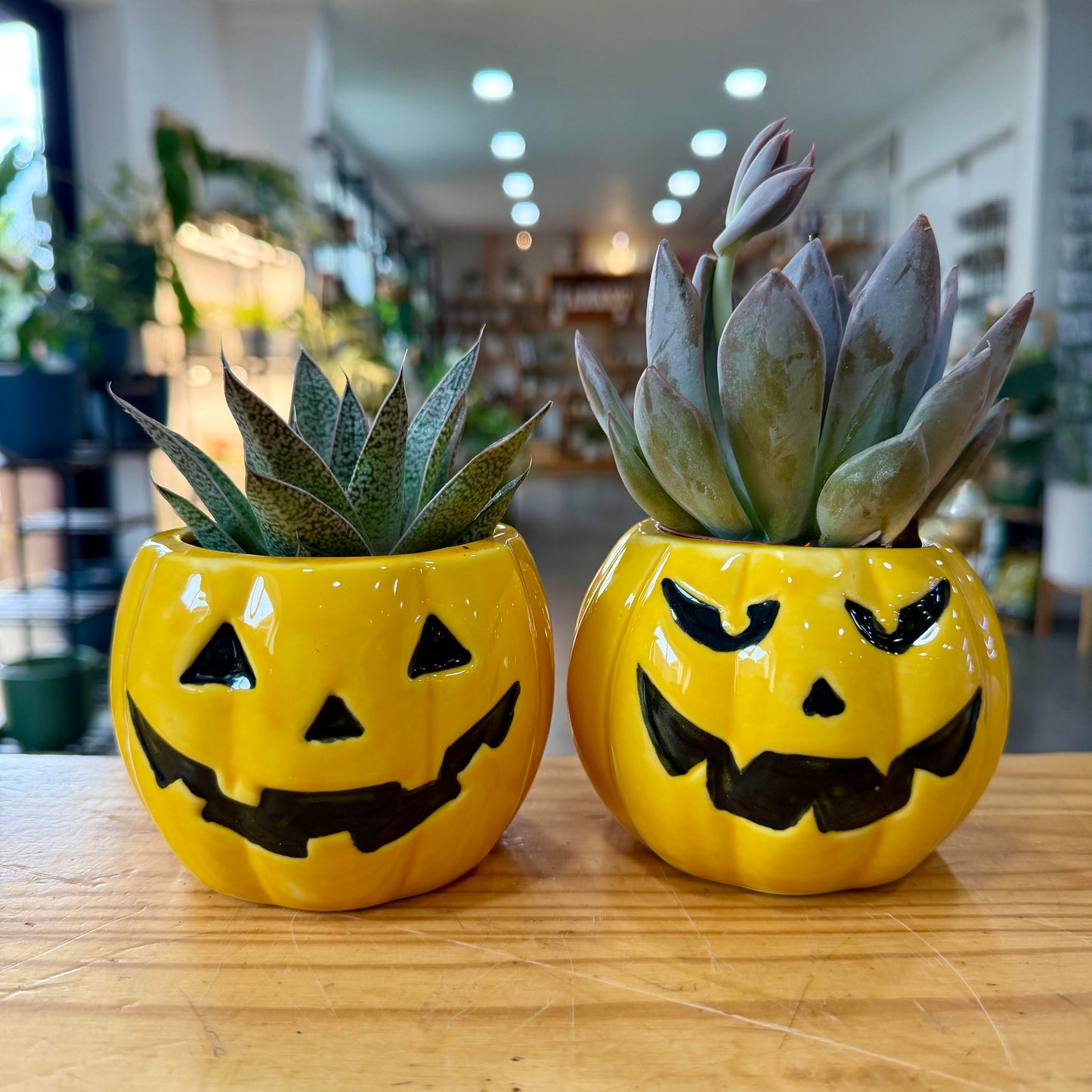 Halloween Planters