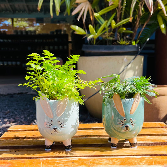 Rabbit Planters