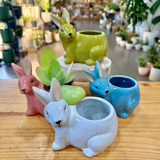 5" Rabbit Planter