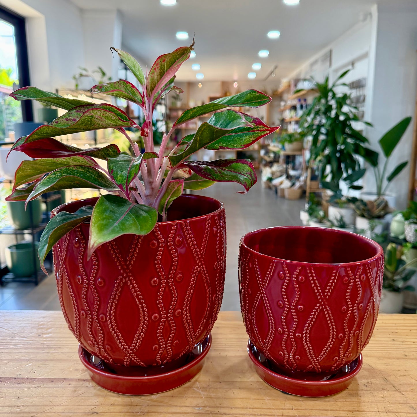 Rattle Planter