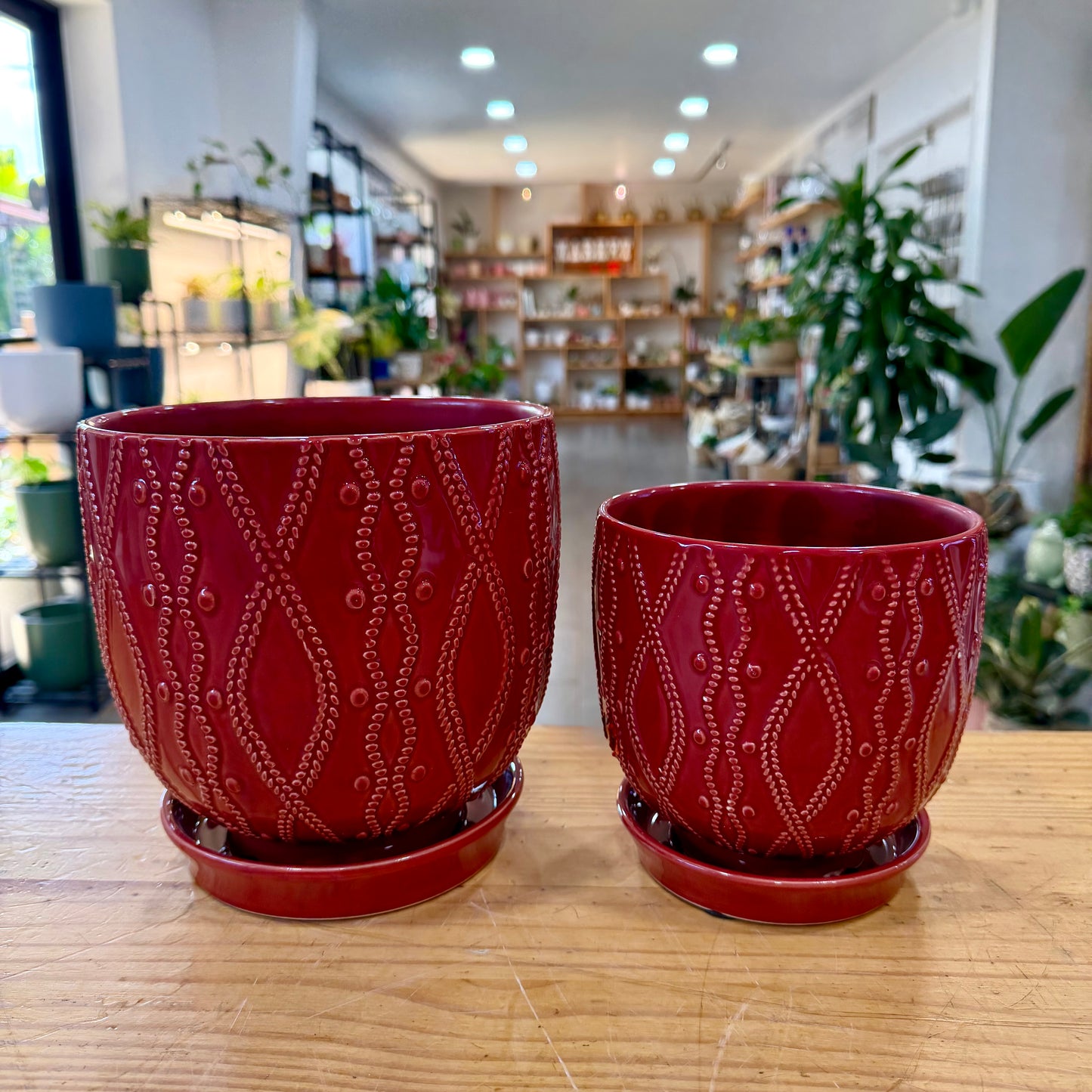 Rattle Planter