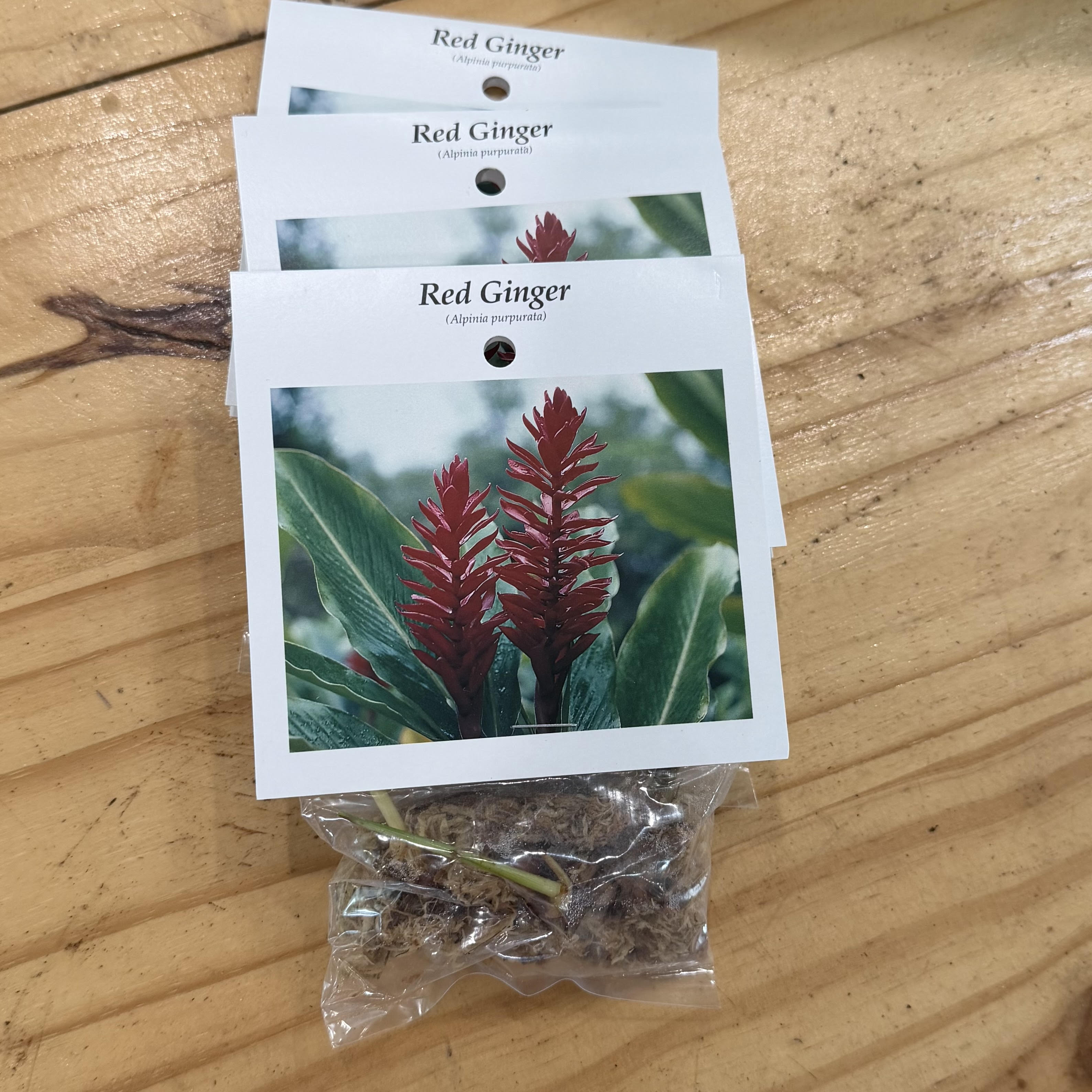 Certified - Roots – Mari's Gardens