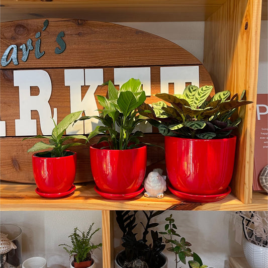 April Ceramic Planter