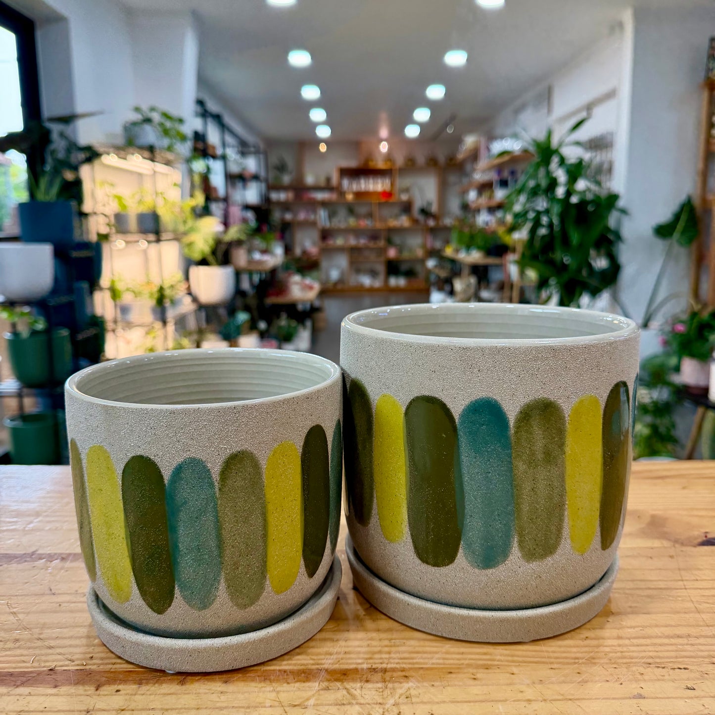 Regine Planter