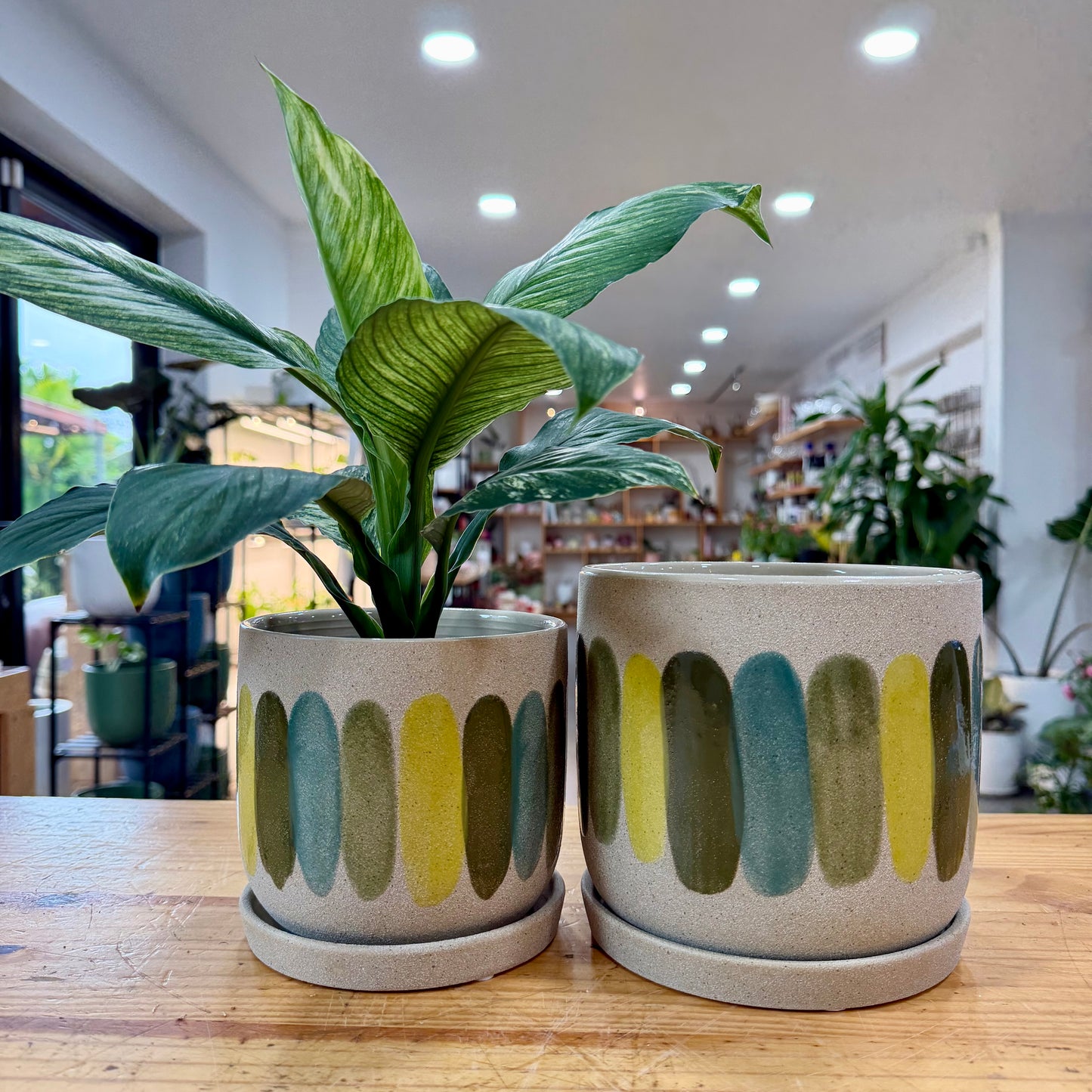 Regine Planter