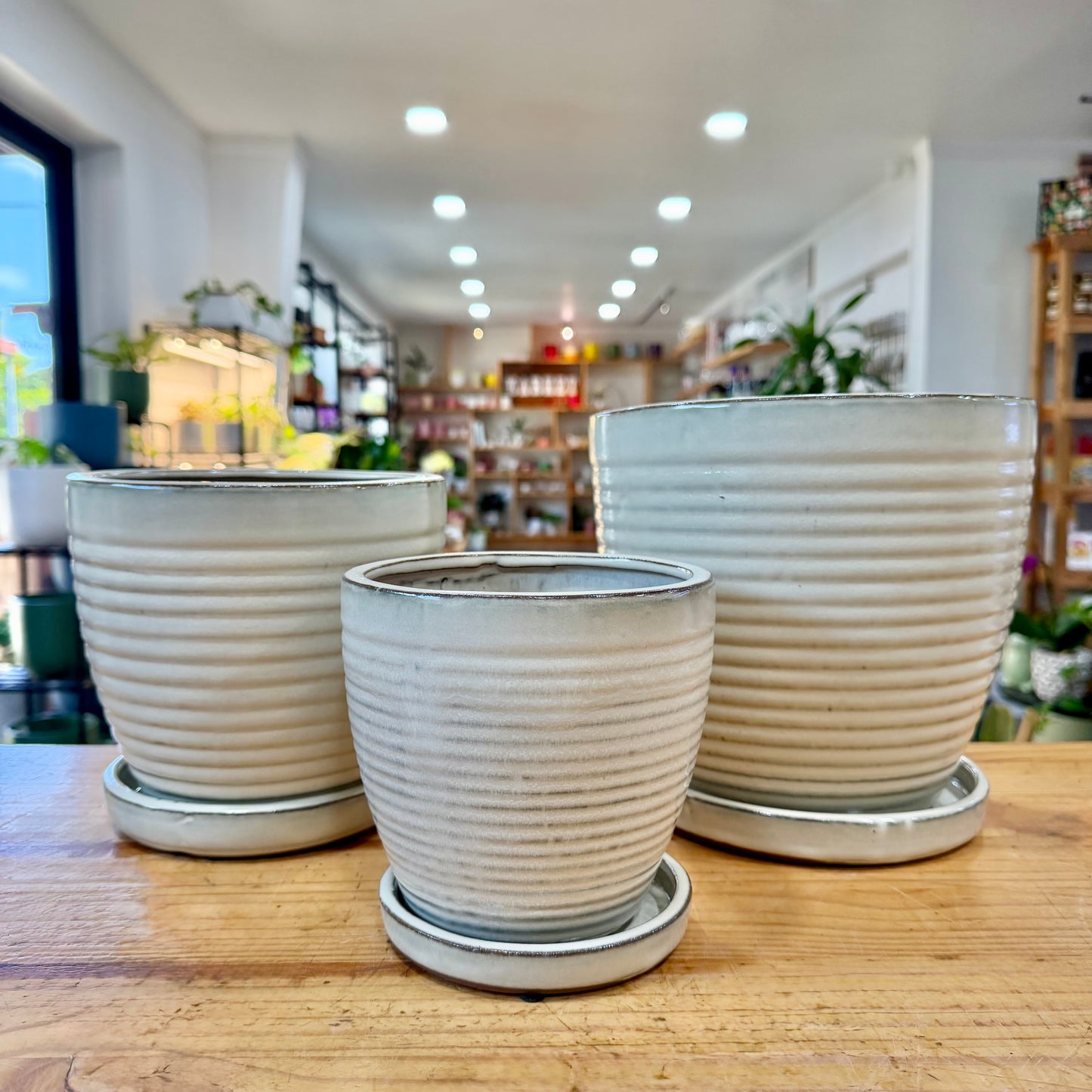 Ribbed Indoor Planter
