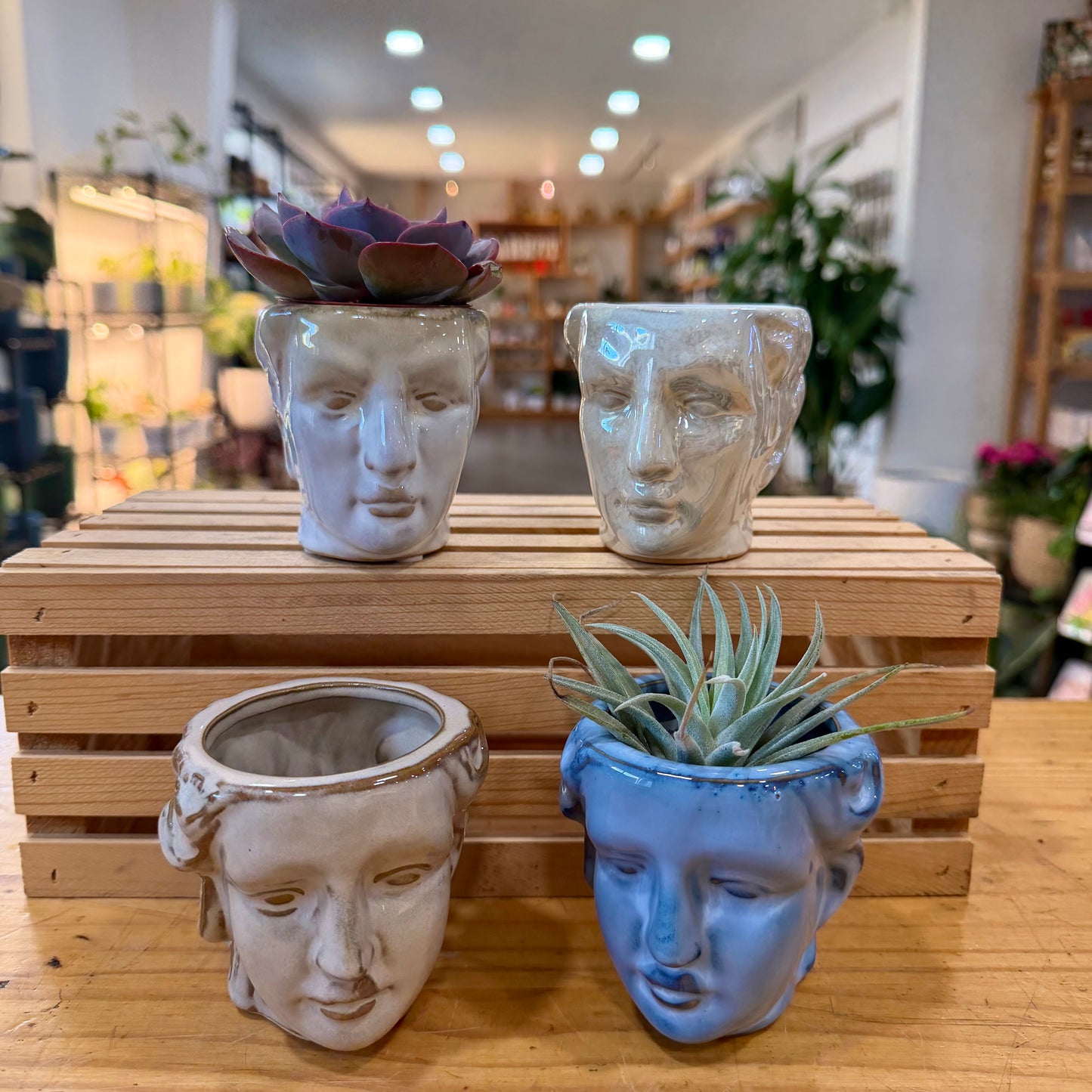 3" Roman Head Planter