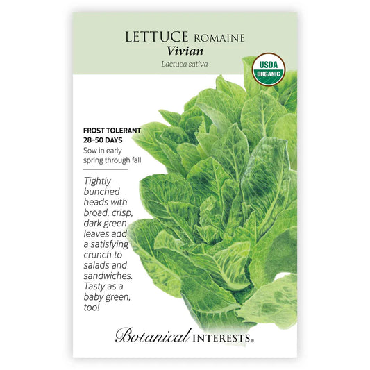 Lettuce seeds 'Romaine Vivian'