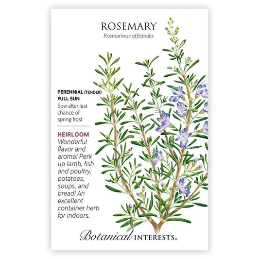 Rosemary seeds