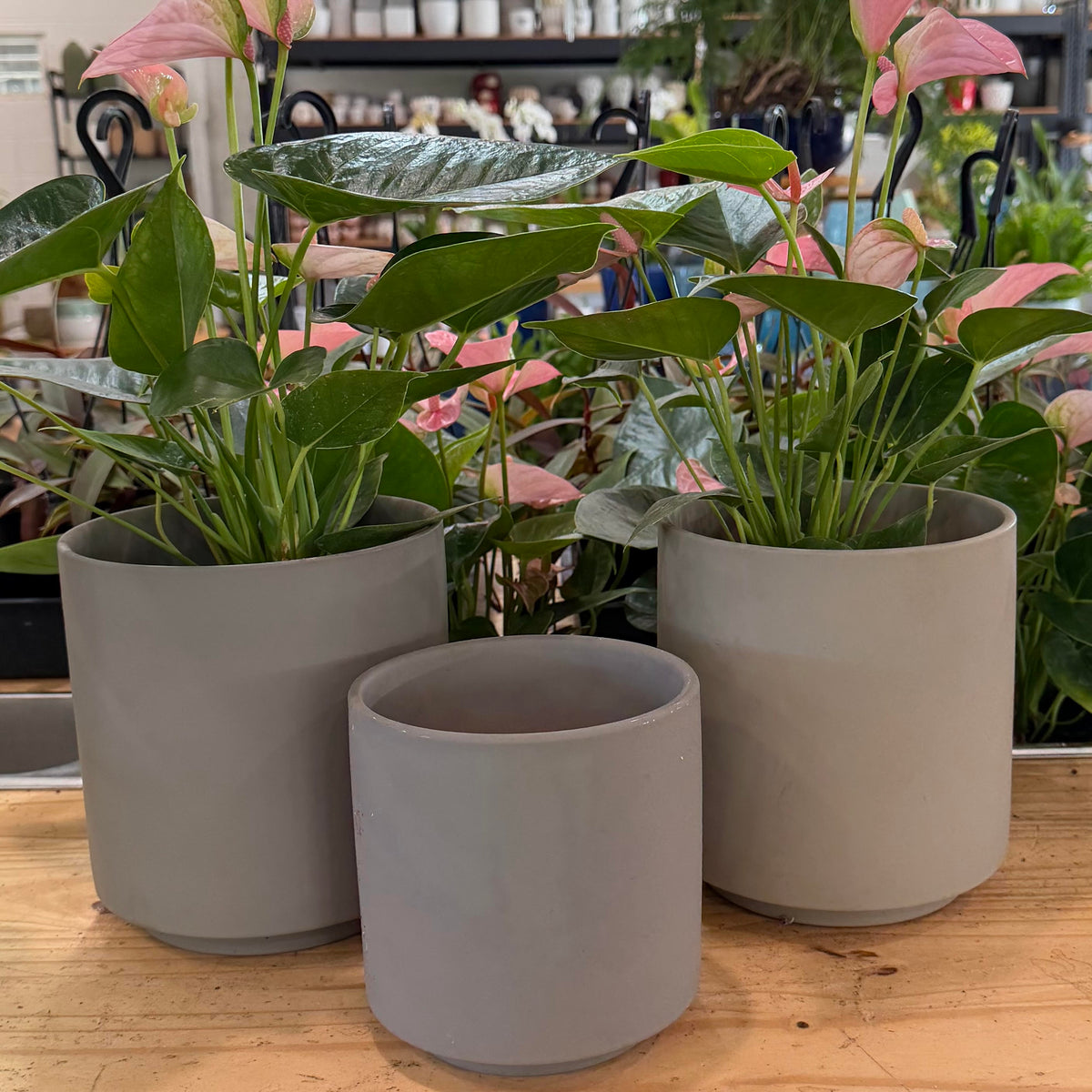 Rubber Painted Cylinder Pot