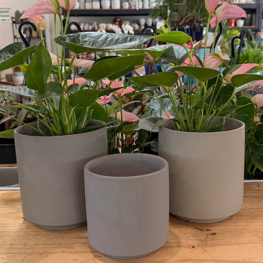 Rubber Painted Cylinder Pot