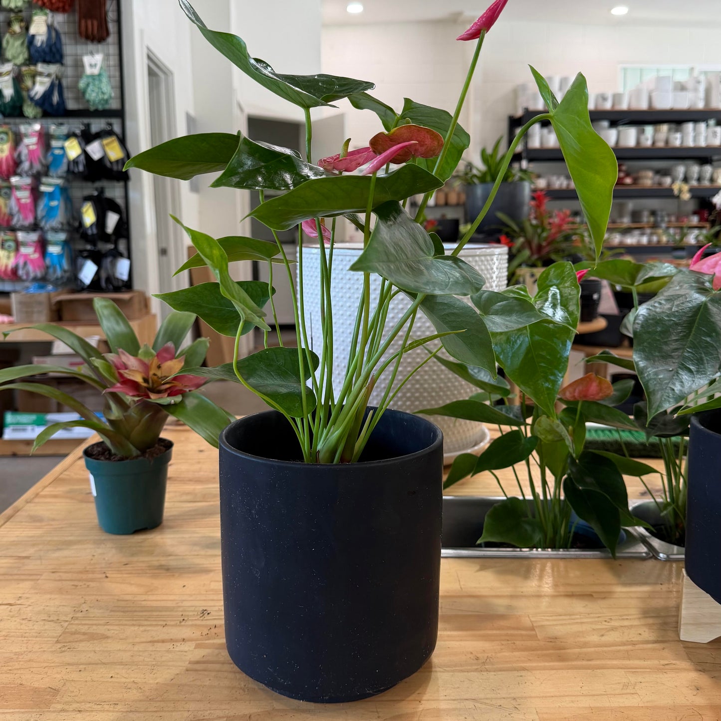Rubber Painted Cylinder Pot
