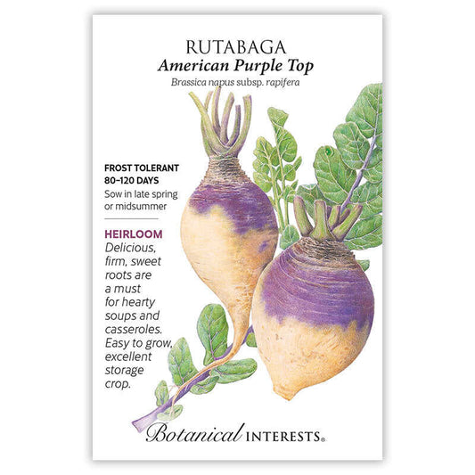 Rutabaga seeds 'American Purple Top'