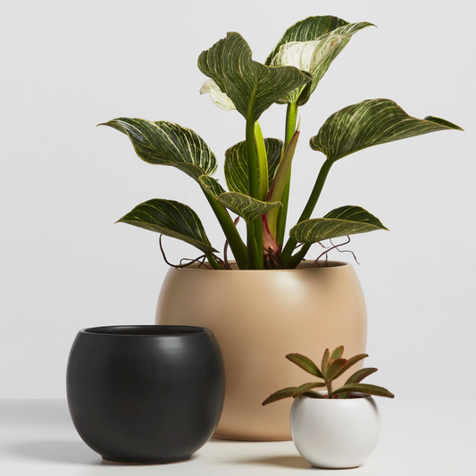Ceramic Sphere Plant Pot