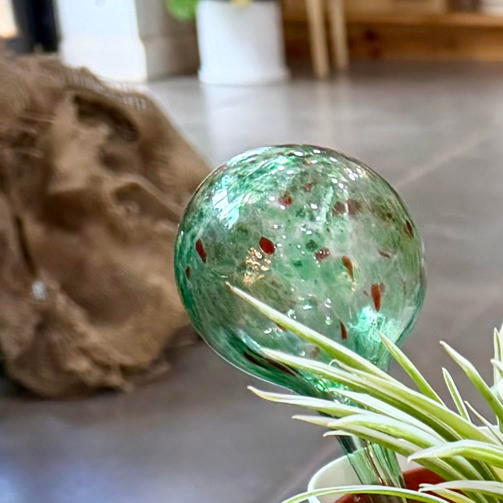 Self Watering - Colorful Glass Globes