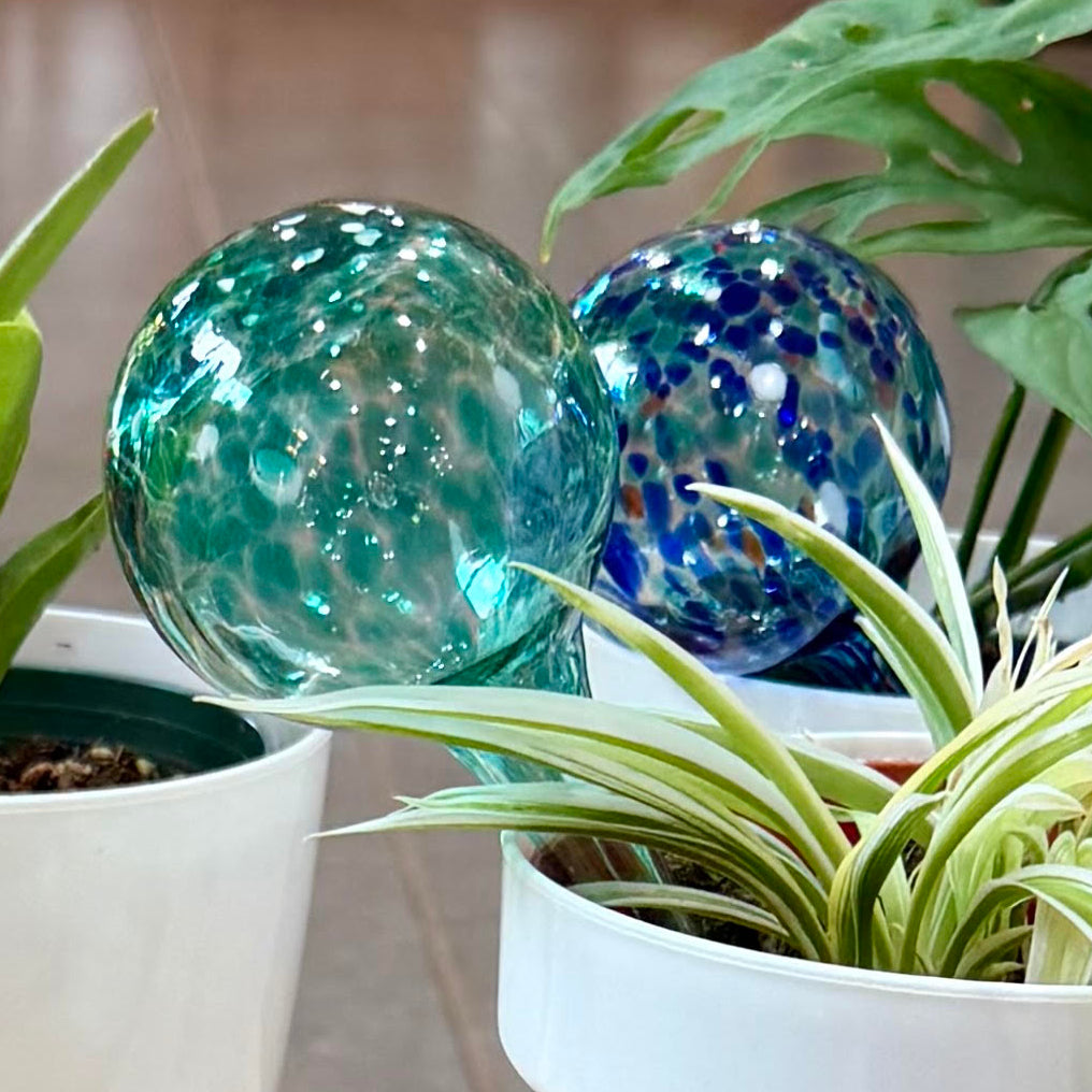 Self Watering - Colorful Glass Globes