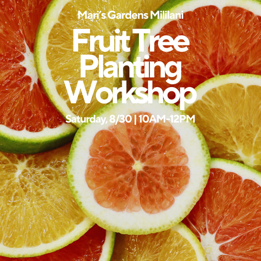 8/30 Labor Day Fruit Tree Planting Workshop (Mililani)