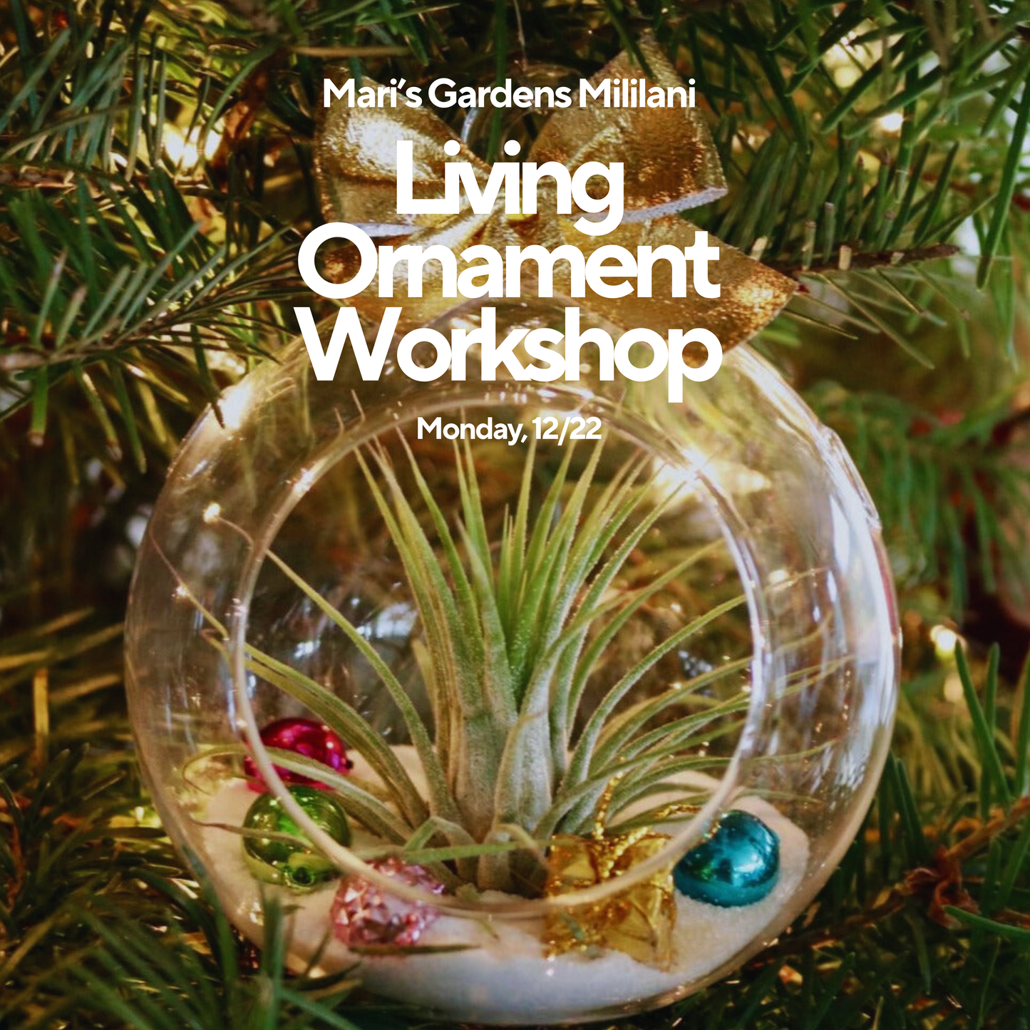 12/22 Keiki Living Ornament Workshop (Mililani)
