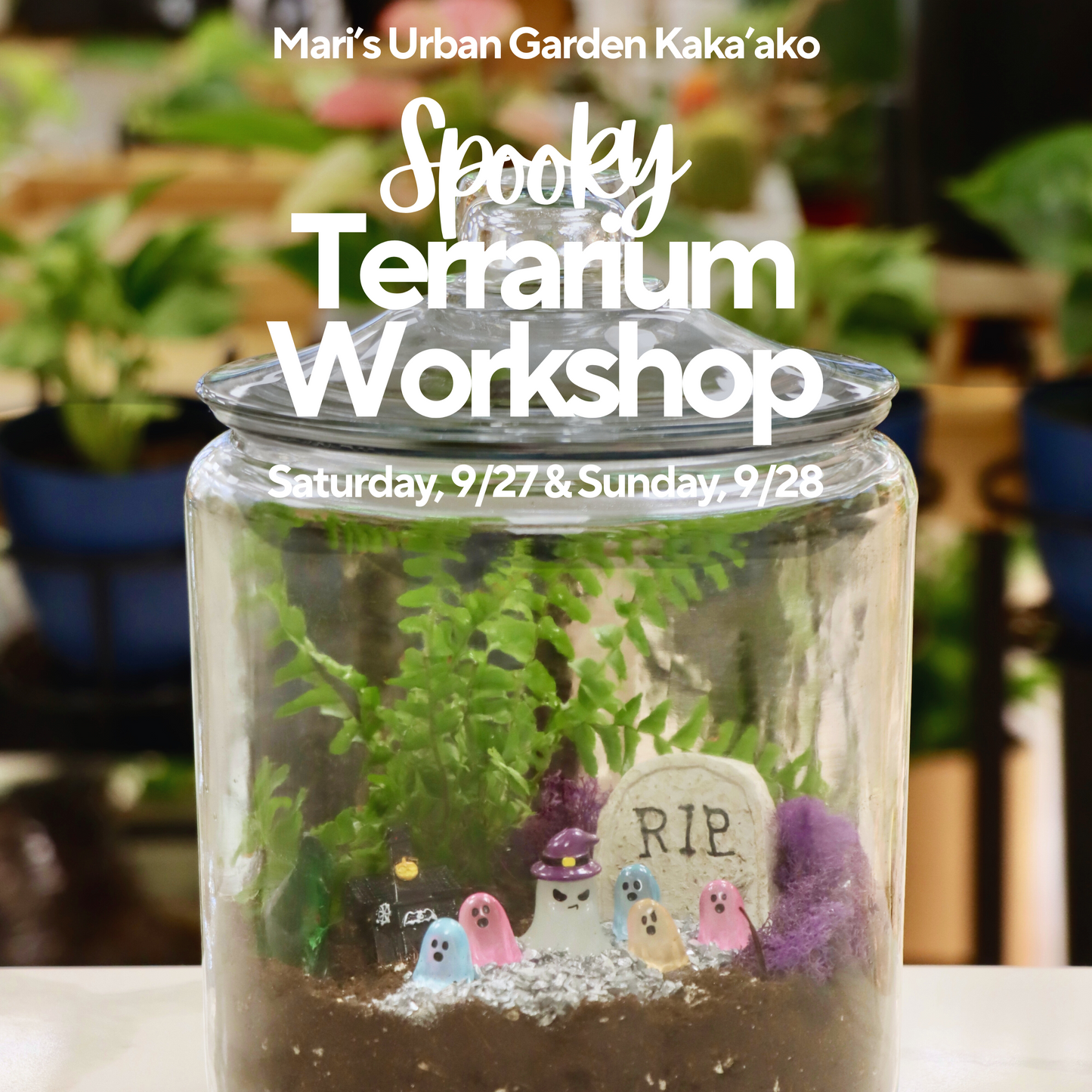 9/27 & 9/28 Spooky Terrarium Workshop (Kakaako)