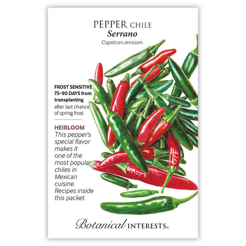 Pepper Chile seeds 'Serrano'