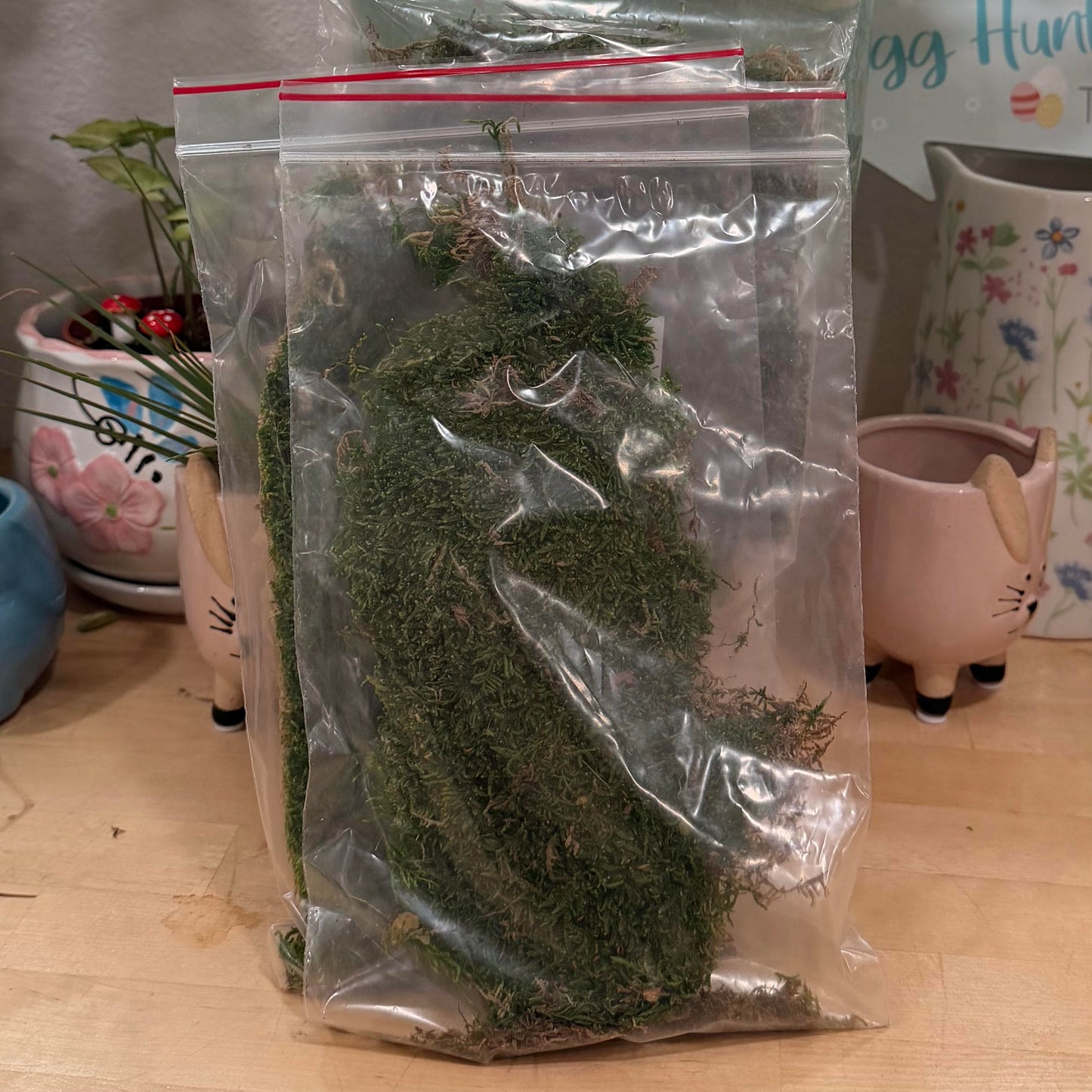 Bagged Sheet Moss