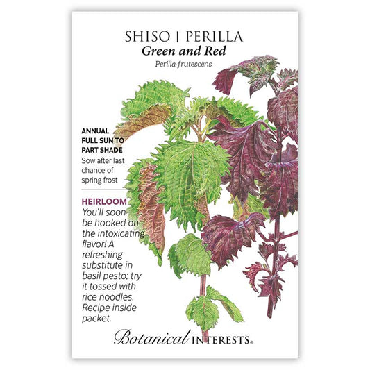 Shiso seeds 'Green and Red'