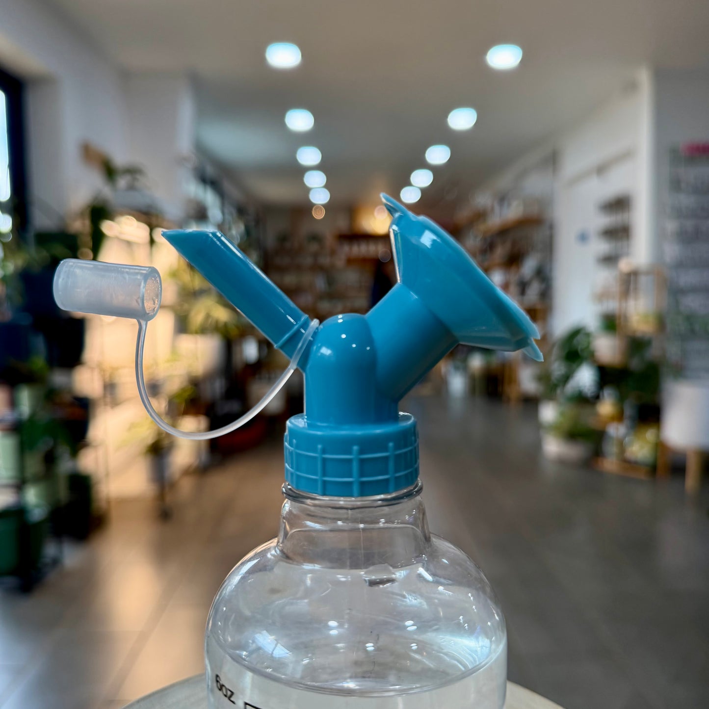 Water Spout