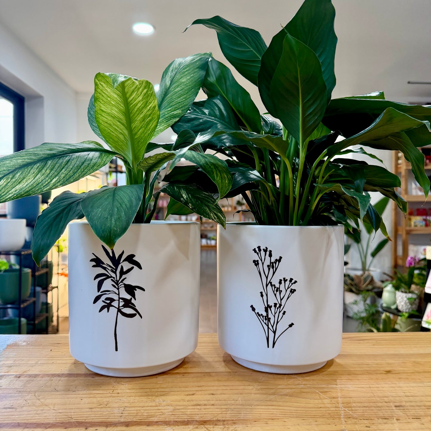 7" Silhouette Flower Planter