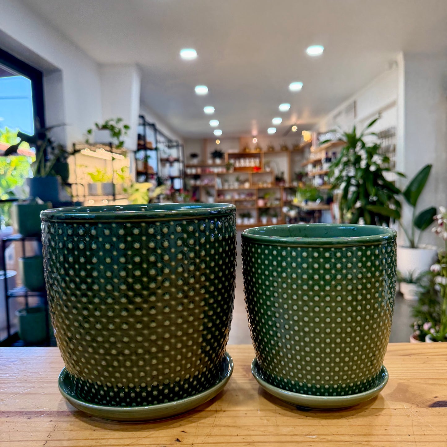 Sinatra Ceramic Planter