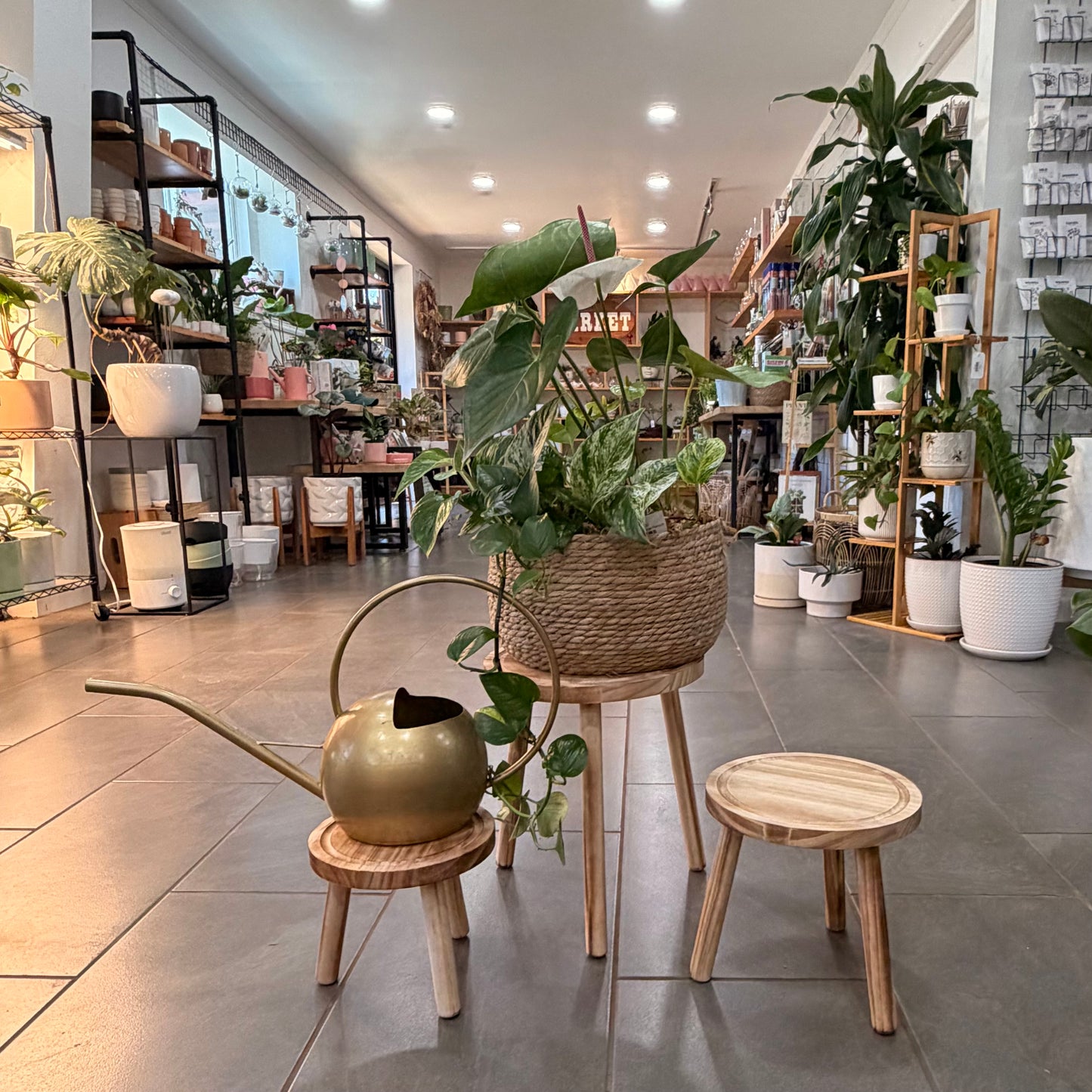 Plant Stands