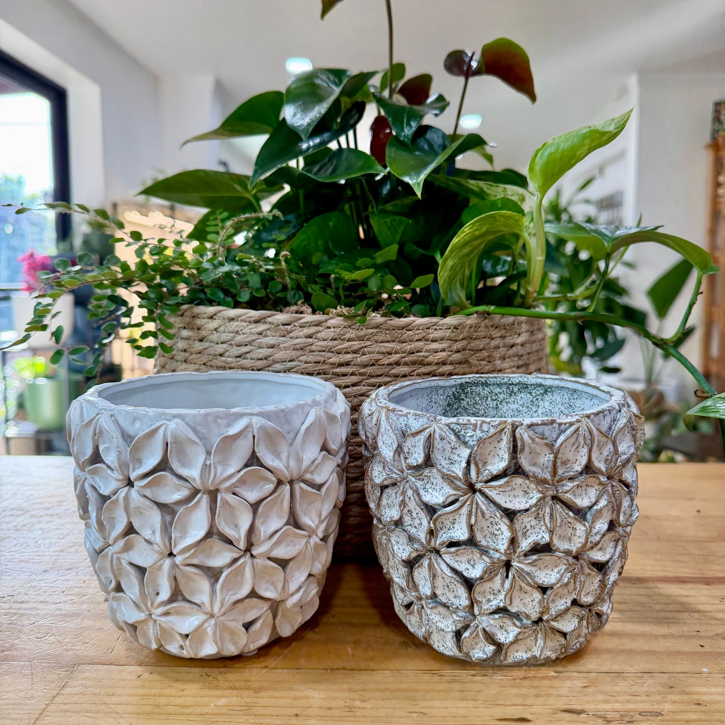 Six Petal Flower Planter