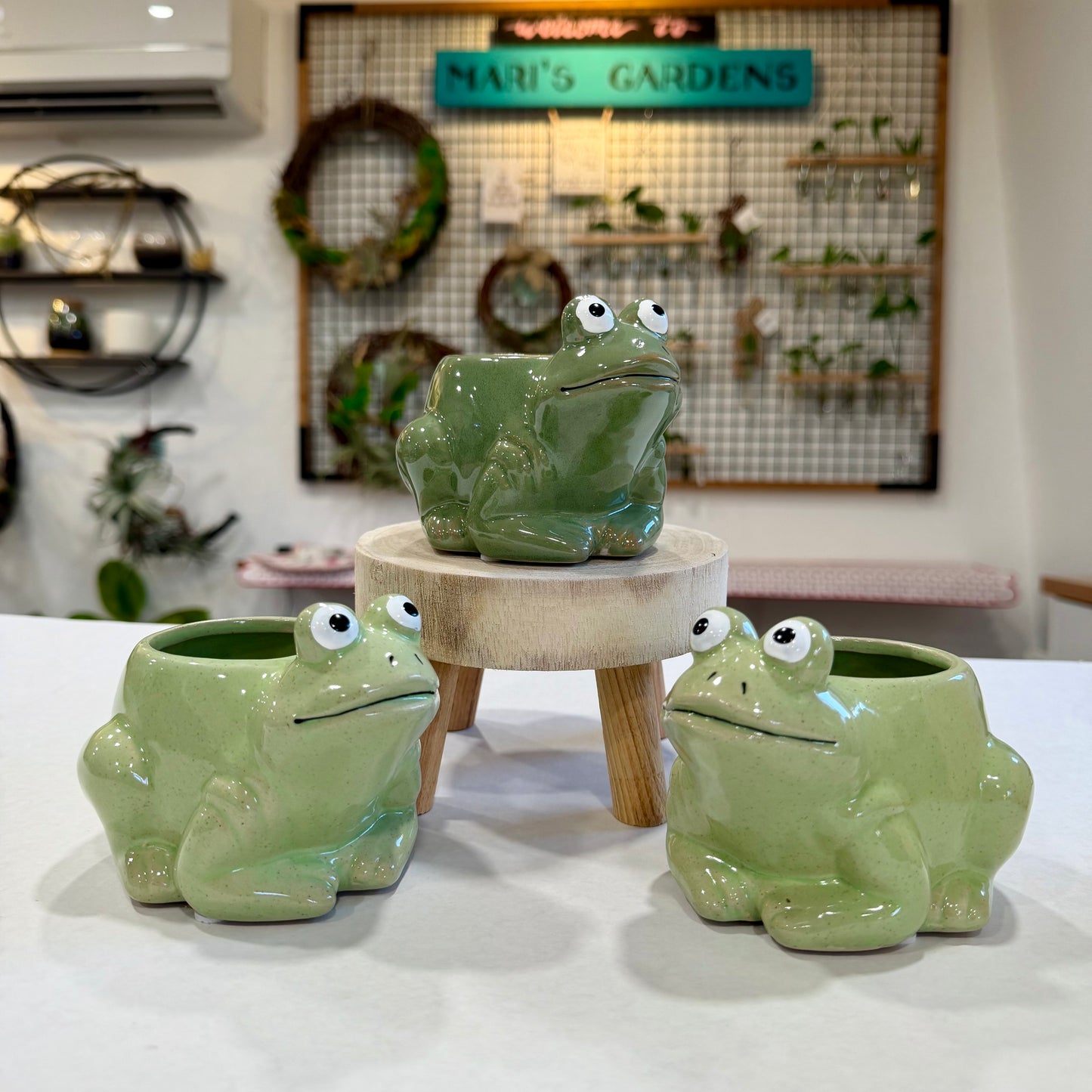 Small Frog Planter