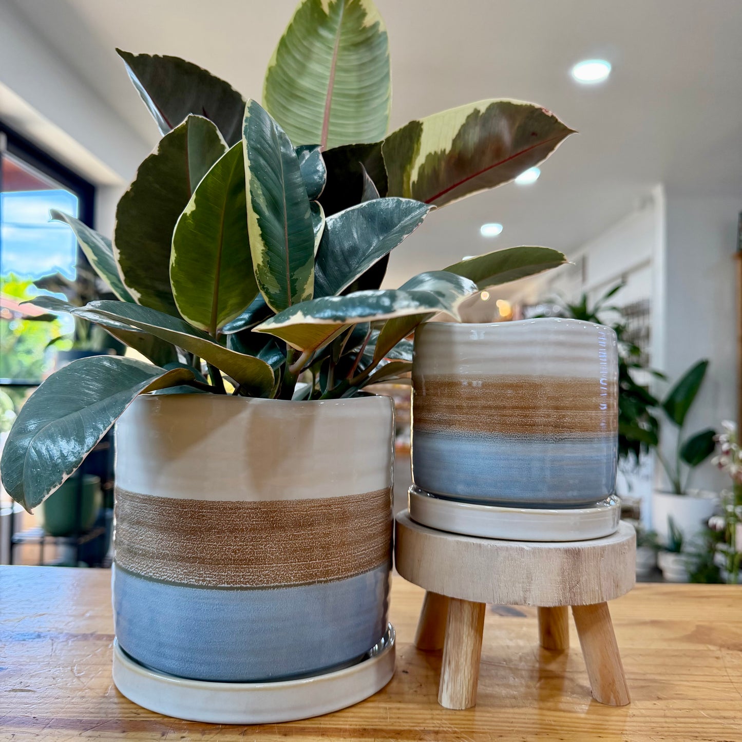 Sonoran Planter