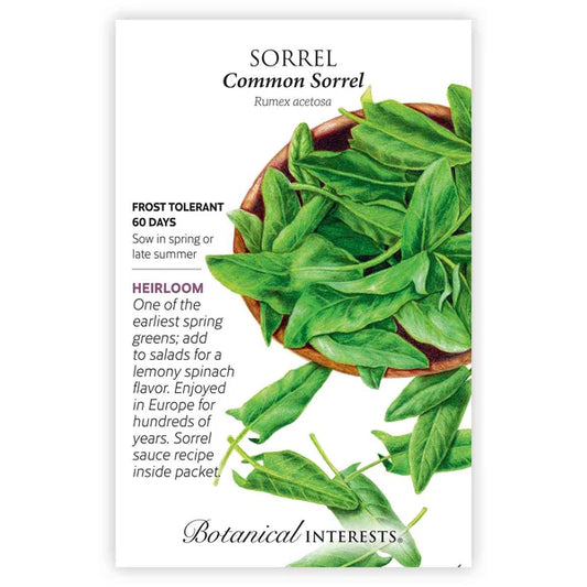 Sorrel seeds, "Common"