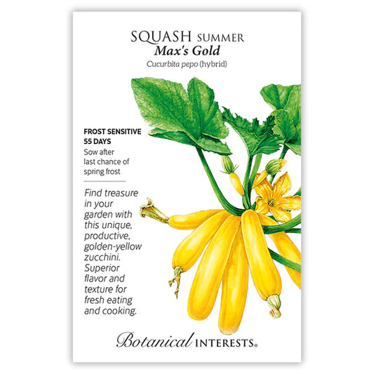 Squash Summer, "Max's Gold Hybird"